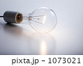 1073021