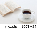 1073085