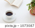 1073087