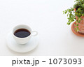 1073093