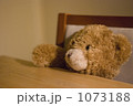 1073188