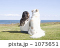 1073651