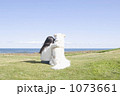 1073661