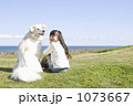 1073667