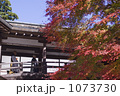 大雄山最上寺の紅葉