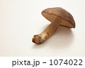 ハタケシメジ
