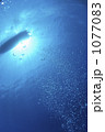 1077083