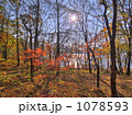 榛名湖畔紅葉１