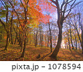 榛名湖畔紅葉２