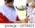 おみくじ