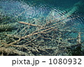 九賽溝