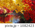 弘前公園の紅葉