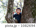 木のぼり