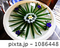 癒しの水中花