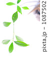 1087502