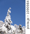 雪晴れの朝