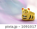 2010年（平成22年）は僕の年、そう寅年です！
