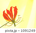 1091249