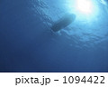 1094422