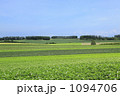 丘の風景