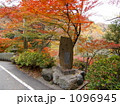 寂光院紅葉