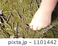 ドングリ 手 子供