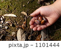 1101444