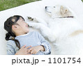 1101754