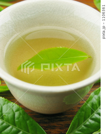 「新茶」の写真素材 「新茶」の写真素材