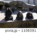 1106391