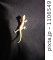 GEKKO