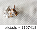 1107418