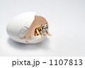 1107813