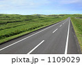 宗谷丘陵の一本道