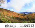 銀泉台の紅葉