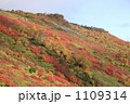 銀泉台の紅葉