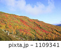 銀泉台の紅葉