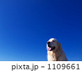 1109661