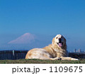1109675