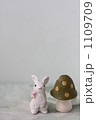 うさぎ＆きのこ
