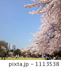 新宿御苑の桜