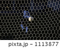1113877