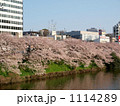 市ヶ谷（外堀通り）の桜