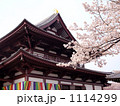 東京タワーと桜