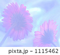1115462