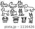 1116426