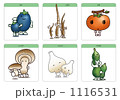1116531
