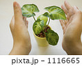 エコロジーイメージ