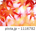 もみじの紅葉