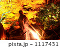 紅葉を見上げる女性